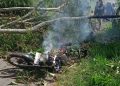 sepeda motor  terbakar akibat pohon tumbang jatuh menimpa arus tegangan tinggi 
Photo : gemapers