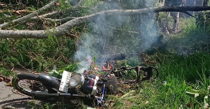 sepeda motor  terbakar akibat pohon tumbang jatuh menimpa arus tegangan tinggi 
Photo : gemapers