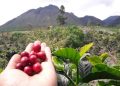 Gunung Burni Telong Bener Meriah,  Photo : gemapers