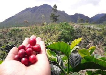 Gunung Burni Telong Bener Meriah,  Photo : gemapers