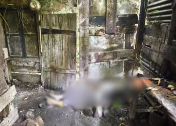 Penemuan Mayat Laki-Laki di Kampung Rembele, Kec. Bukit, Bener Meriah, Foto : Humas Polres Bener Meriah