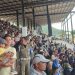 Ribuan penonton pacuan kuda memadati tribun stadion buntul nege  di kabupaten gayo lues, sabtu (25/10/2025) foto : Ist
