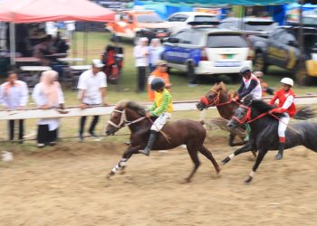Laga final pacuan kuda tradisional Gayo Lues dalam rangka Hut RI ke 80 di stadion buntul nege Gayo Lues, minggu (26/10/2025). Foto : Ist