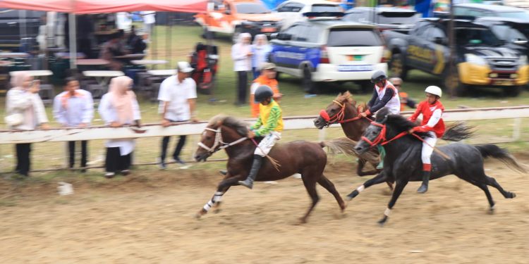 Laga final pacuan kuda tradisional Gayo Lues dalam rangka Hut RI ke 80 di stadion buntul nege Gayo Lues, minggu (26/10/2025). Foto : Ist