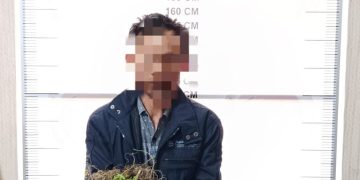 Tersangka pemilik ladang ganja di Desa Nosar Baru, Kec.Bener Kelipah, Bener Meriah, Foto : Humas Polres BM