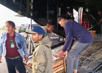 Proses pengiriman produk hasil pertanian dengan menggunakan pesawat Hercules, Foto : Ist