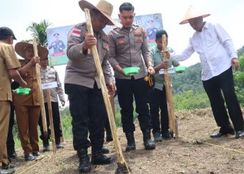 Kapolres Bener Meriah, AKBP Aris Cai Dwi Susanto, S.I.K., M.I.K, Wabup Ir. H. Armia, unsur Forkopimda, pejabat utama Polres, dan pemerintah kecamatan Syiah Utama. saat menanam jagung kuartal II di Syiah Utama, Foto: Humas Polres BM