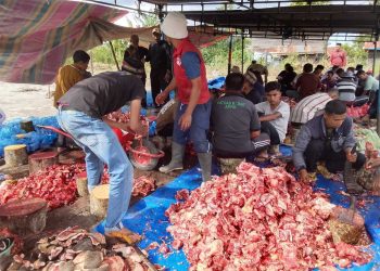 Proses Qurban di desa Bahgie Bertona, kec. Bandar. Foto: Herman