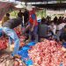 Proses Qurban di desa Bahgie Bertona, kec. Bandar. Foto: Herman
